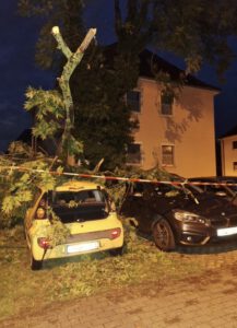 Umgestürzter Baum beschädigt mehrere Autos in der Sighardstraße in Paderborn nach Unwetter