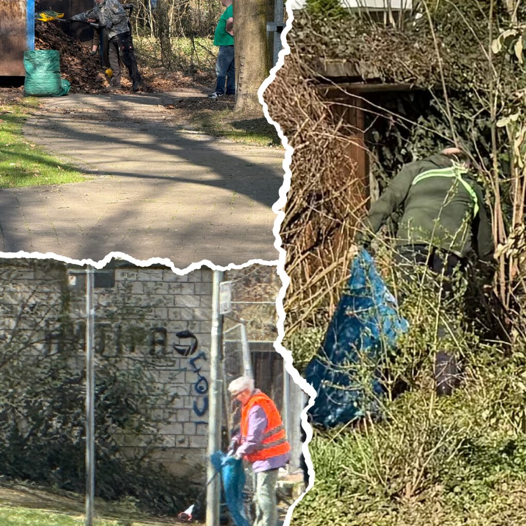 Collage mit verschiedenen Bildern aus der Kampagne „100 gute Gründe für die Südstadt“ – Themen wie Klimaschutz, Nachbarschaft, Müllsammelaktion und Gemeinschaft in Paderborns Südstadt.